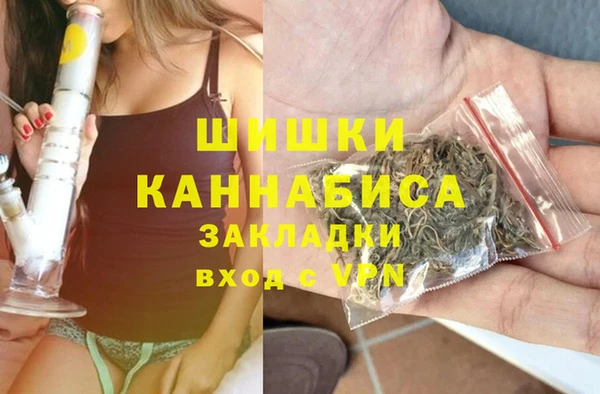 винт Рославль