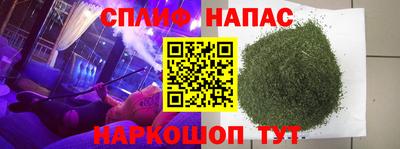 стафф Моздок