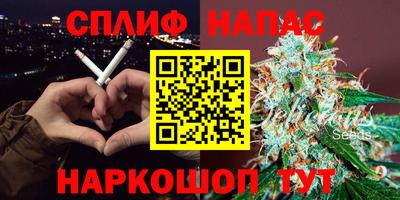 стафф Моздок