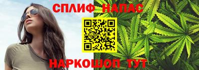 стафф Моздок