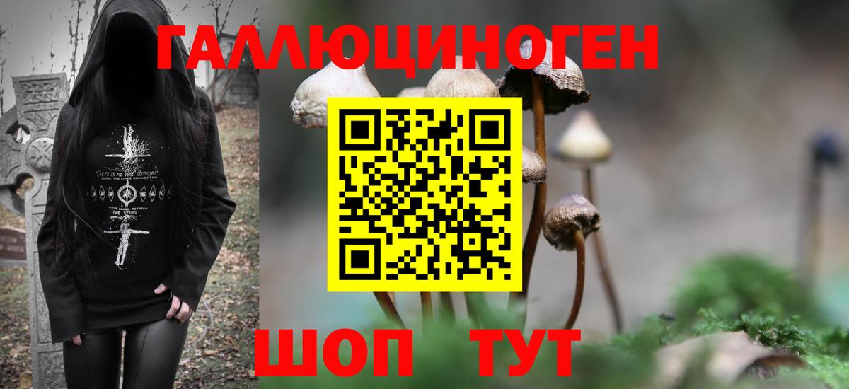 Феодосия  Псилоцибиновые грибы MAGIC MUSHROOMS  купить наркоту  Вход с VPN 